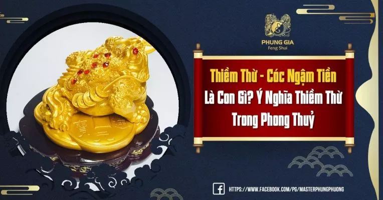 Thiềm Thừ - Cóc Ngậm Tiền Là Con Gì Ý Nghĩa Thiềm Thừ Trong Phong Thuỷ
