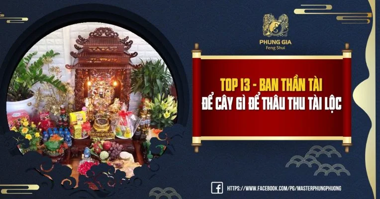 Top 13 - Ban Thần Tài Để Cây Gì Để Thâu Thu Tài Lộc