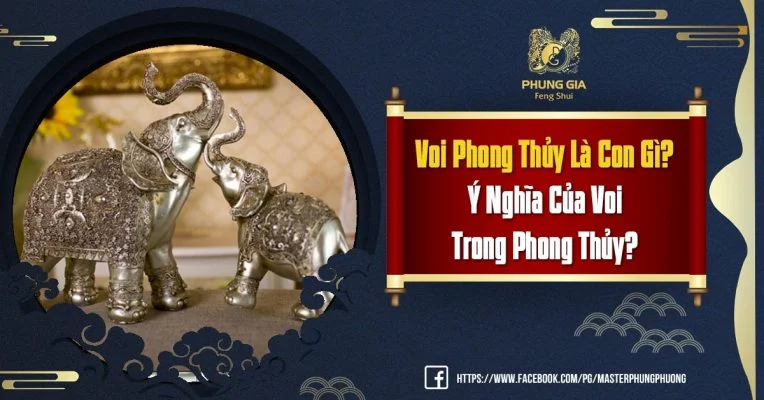 Voi Phong Thủy Là Con Gì Ý Nghĩa Của Voi Trong Phong Thủy