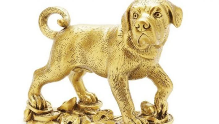 Chó Phong Thủy Là Gì? Ý Nghĩa Của Chó Trong Phong Thủy?