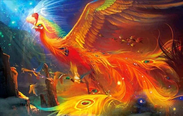 Phượng Hoàng Phong Thủy Là Gì? - Cách Khai Quang Cho Phượng Hoàng Đúng Cách