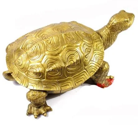 Rùa Phong Thủy là gì? Ý Nghĩa Của Rùa Trong Phong Thủy?