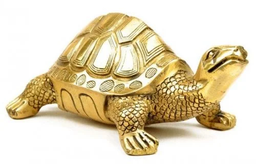 Rùa Phong Thủy là gì? Ý Nghĩa Của Rùa Trong Phong Thủy?