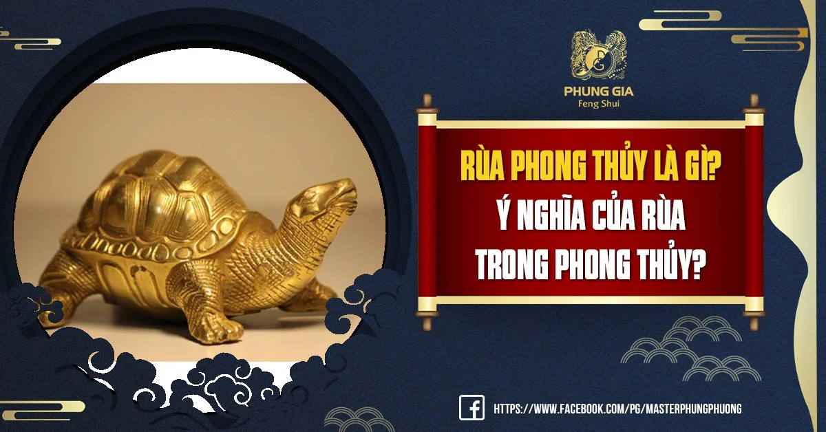 Rùa Phong Thủy là gì? Ý Nghĩa Của Rùa Trong Phong Thủy?