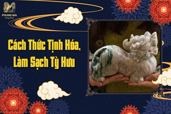 Cách Thức Tịnh Hóa, Làm Sạch Tỳ Hưu
