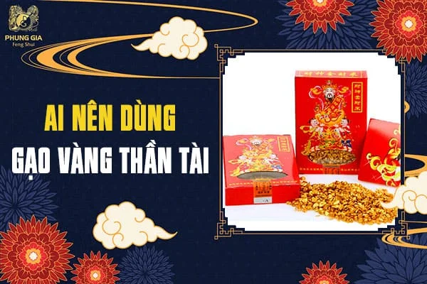 Ai Nên Dùng Gạo Vàng Thần Tài