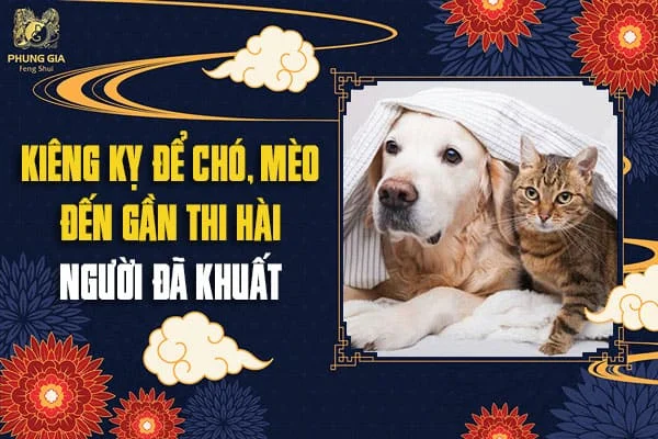 Kiêng Kỵ Để Chó, Mèo Đến Gần Thi Hài Người Đã Khuất