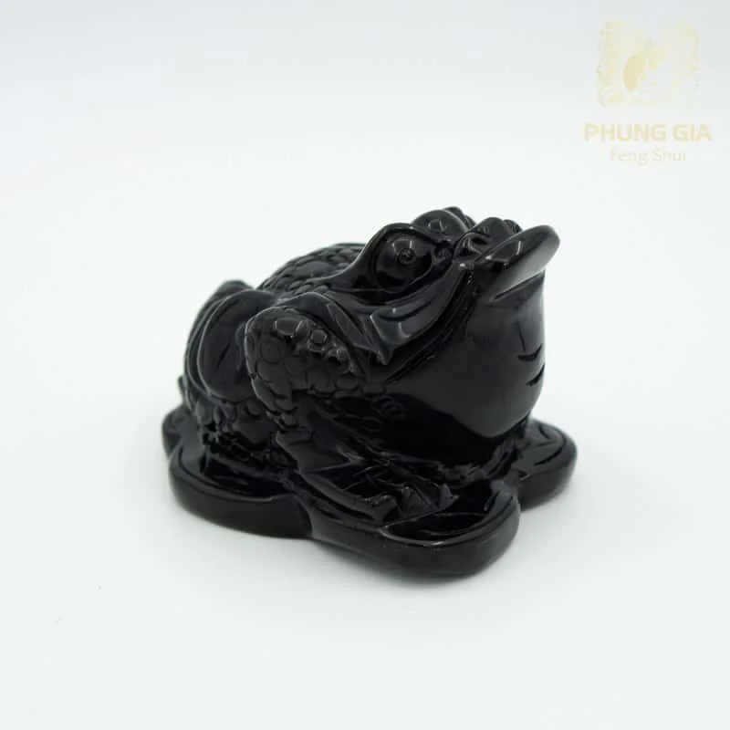 Thiềm Thừ Thủy Thần Ngọc Onyx Đen