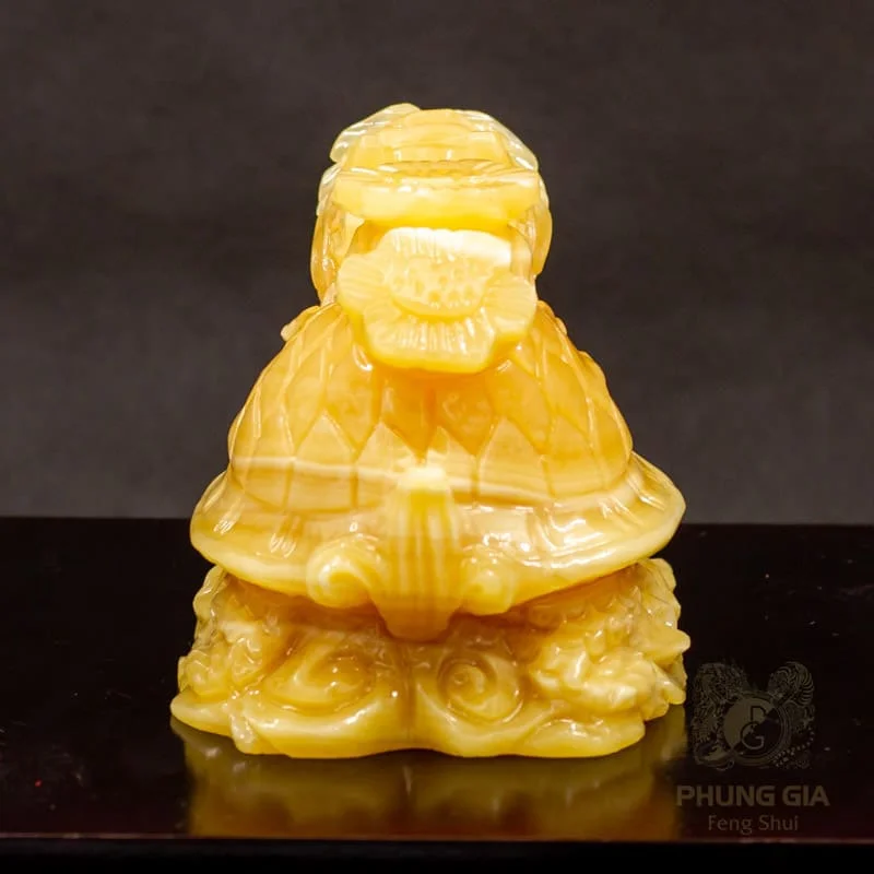 ty-huu-nhu-y-ngoc-hoang-long