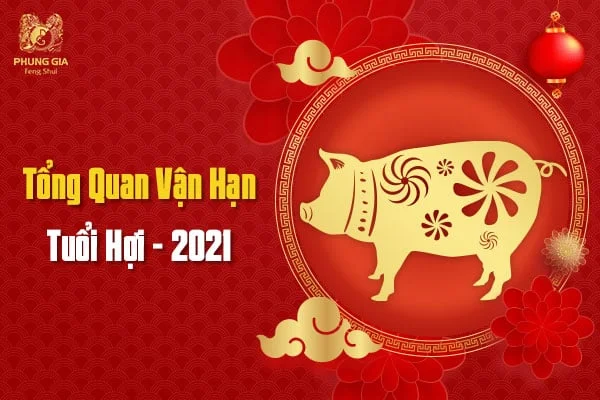 Tổng Quan Vận Hạn Tuổi Hợi - 2021