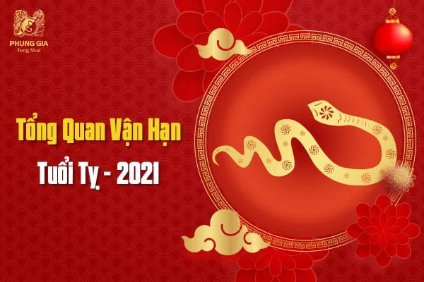 Tổng Quan Vận Hạn Tuổi Tỵ - 2021