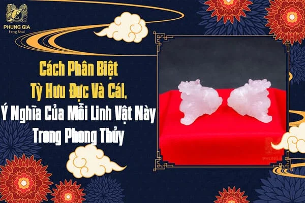 Cách Phân Biệt Tỳ Hưu Đực Và Cái, Ý Nghĩa Của Mỗi Linh Vật Này Trong Phong Thủy