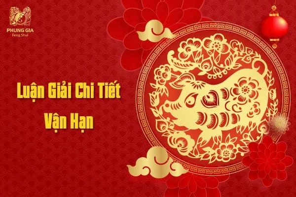 Luận Giải Chi Tiết Vận Hạn