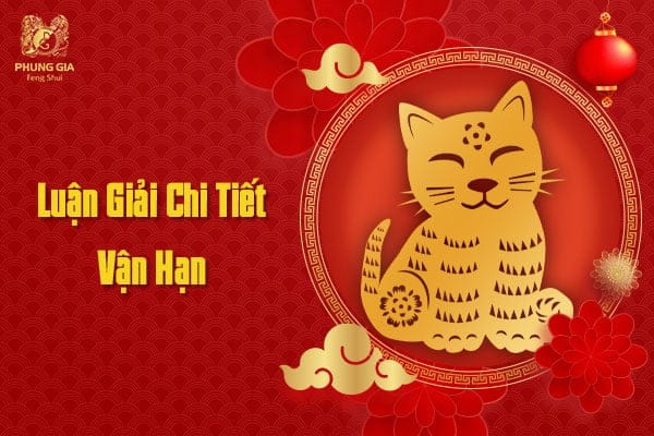 Vận Hạn Tuổi Mão - Năm Tân Sửu 2021 8 Luận Giải Chi Tiết Vận Hạn