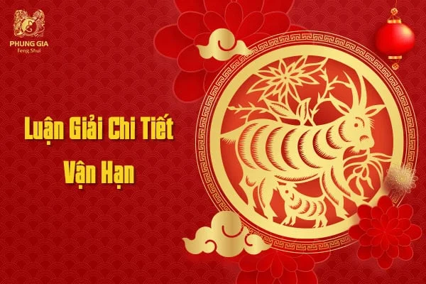 Luận Giải Chi Tiết Vận Hạn