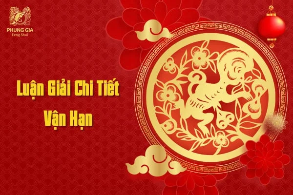 Luận Giải Chi Tiết Vận Hạn