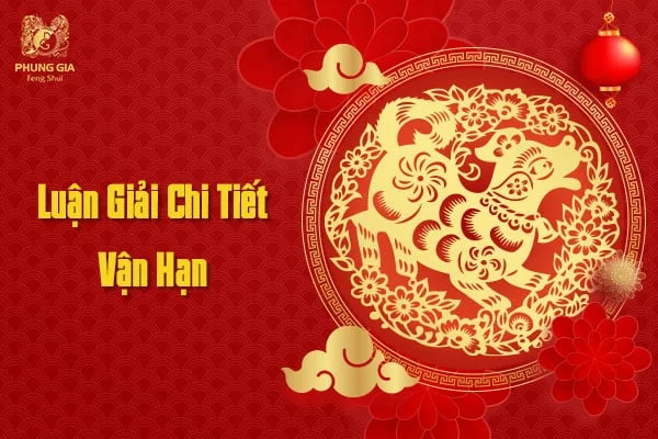 Luận Giải Chi Tiết Vận Hạn