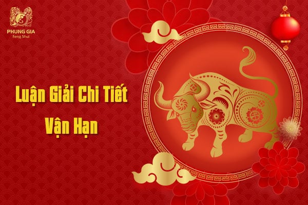 Vận Hạn Tuổi Sửu - Năm Tân Sửu 2021 8 Luận Giải Chi Tiết Vận Hạn