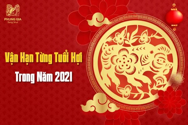 Vận Hạn Từng Tuổi Hợi Trong Năm 2021