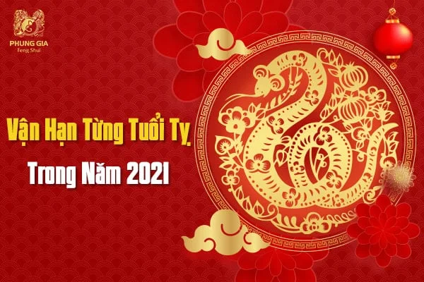 Vận Hạn Từng Tuổi Tý Trong Năm 2021
