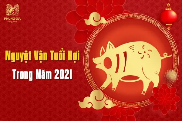 Nguyệt Vận Tuổi Hợi Trong Năm 2021