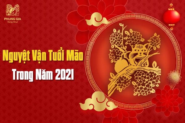 Vận Hạn Tuổi Mão - Năm Tân Sửu 2021 10 Nguyệt Vận Tuổi Mão Trong Năm 2021