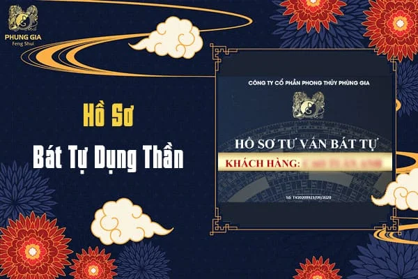 Hồ Sơ Bát Tự Dụng Thần