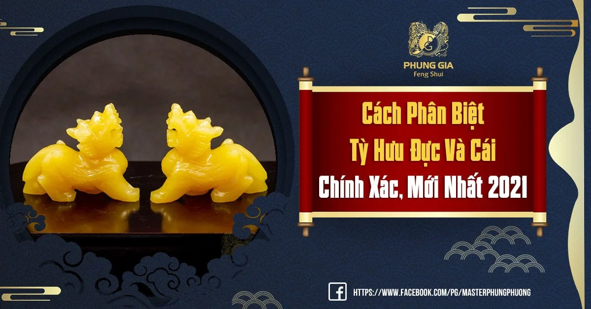 Cách Phân Biệt Tỳ Hưu Đực Và Cái Chính Xác Nhất