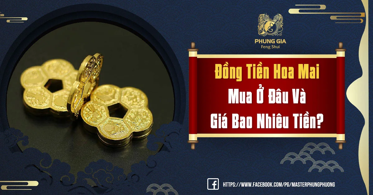 Đồng Tiền Hoa Mai Mua Ở Đâu Và Giá Bao Nhiêu Tiền?