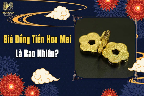 5-dong-tien-hoa-mai-mua-o-dau