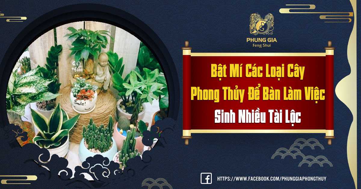 Bật Mí Các Loại Cây Phong Thủy Để Bàn Sinh Nhiều Tài Lộc