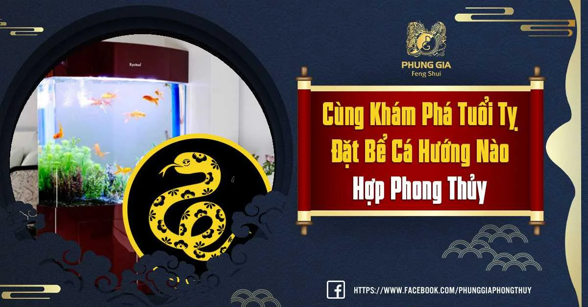 Tìm Hiểu Tuổi Tỵ Đặt Bể Cá Hướng Nào Hợp Phong Thủy Thu Hút Tài Lộc