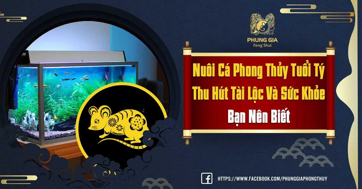 Nghiên Cứu Và Tìm Hiểu Vấn Đề Nuôi Cá Phong Thủy Tuổi Tý