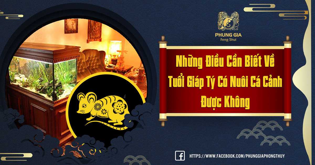 Tuổi Giáp Tý Có Nuôi Được Cá Cảnh Không