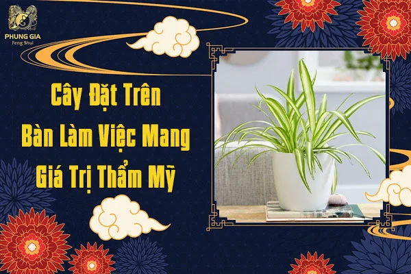 Giá Trị Thẩm Mỹ