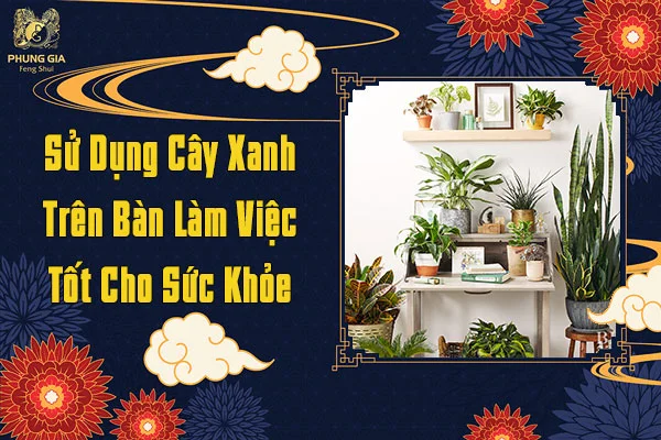 Sử Dụng Cây Xanh Trên Bàn Làm Việc Tốt Cho Sức Khỏe