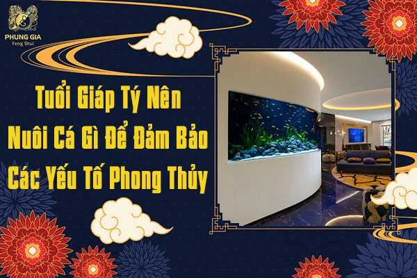 Nuôi Cá Đảm Bảo Yếu Tố Phong Thủy