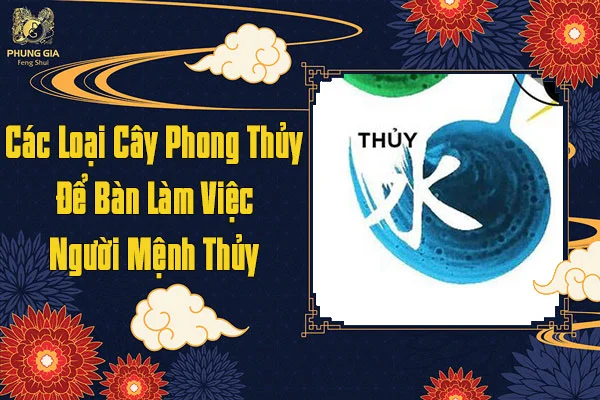 Các Loại Cây Phong Thủy Để Bàn Làm Việc Cho Mệnh Thủy