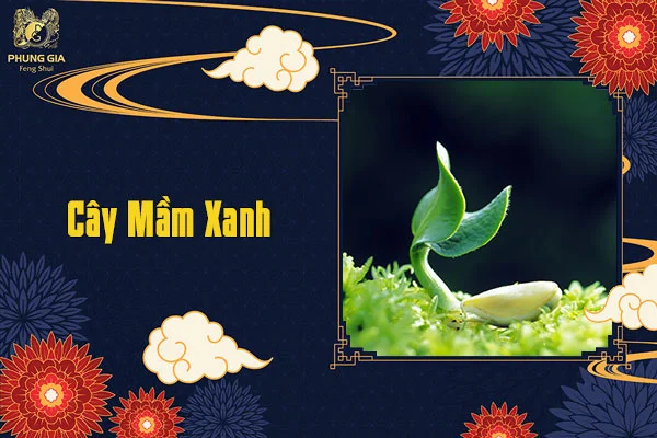 Cây Mầm Xanh