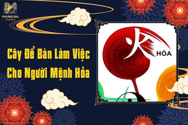 Cây Để Bàn Làm Việc Cho Người Mệnh Hỏa