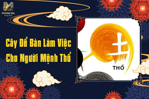 Cây Để Bàn Làm Việc Cho Người Mệnh Thổ