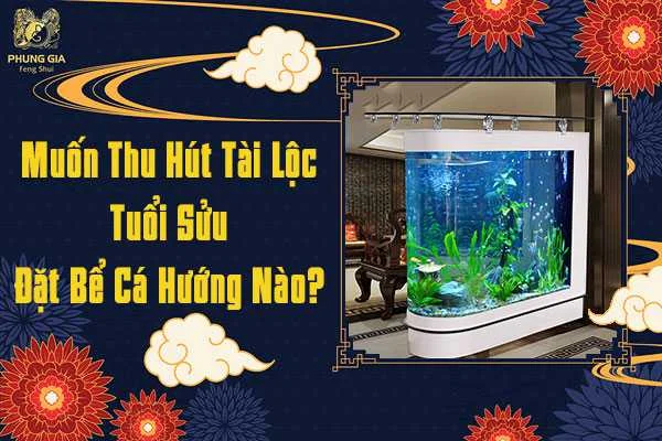 Thu Hút Tài Lộc Đặt Bể Cá Hướng Nào