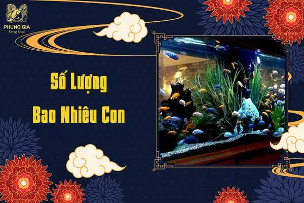Số Lượng Bao Nhiêu Con Cá
