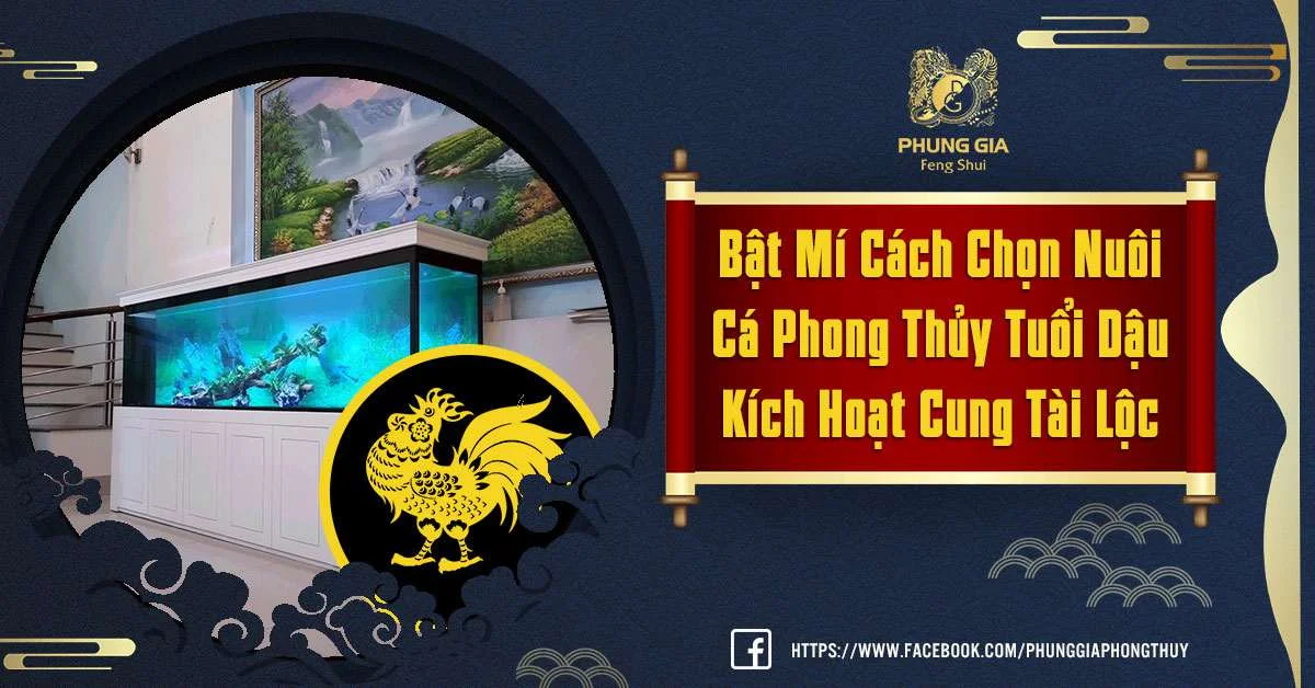 Cách Chọn Nuôi Cá Phong Thủy Tuổi Dậu Kích Hoạt Cung Tài Lộc