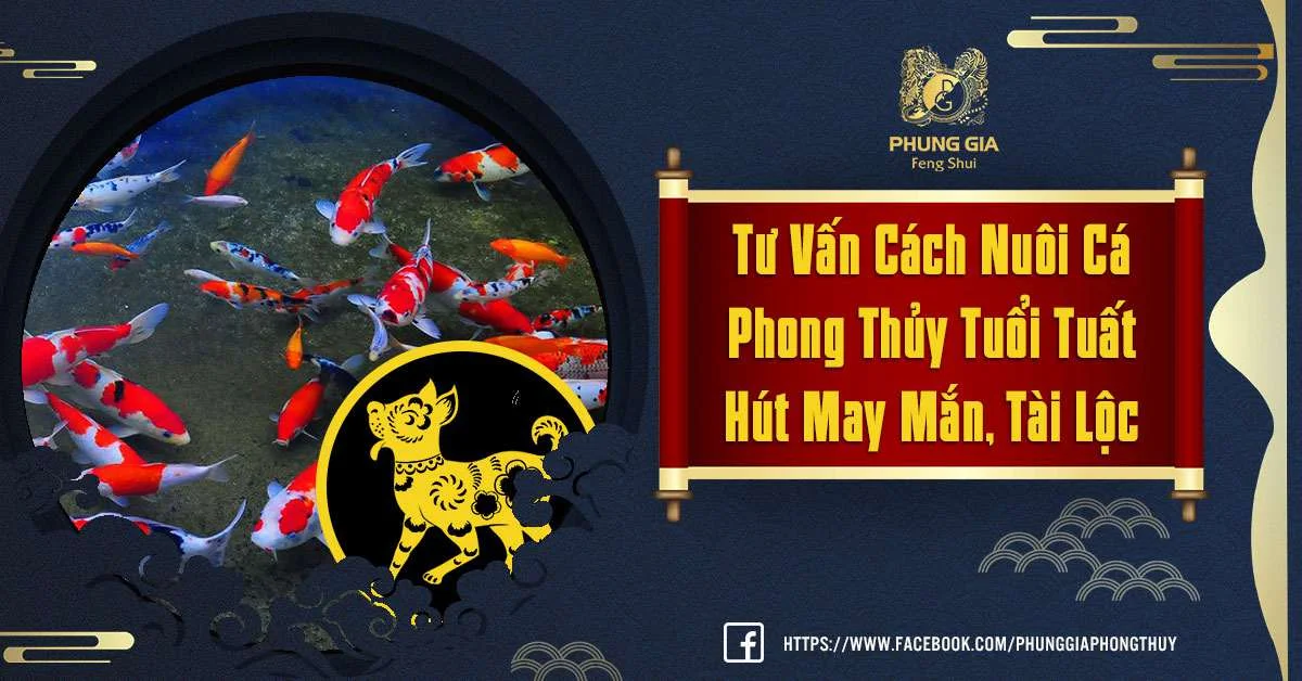 Muốn Thu Hút Nhiều Tài Lộc Nên Nuôi Cá Phong Thủy Tuổi Tuất Thế Nào?
