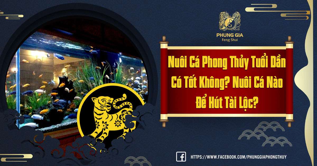 Nuôi Cá Phong Thủy Tuổi Dần Hút Tài Lộc