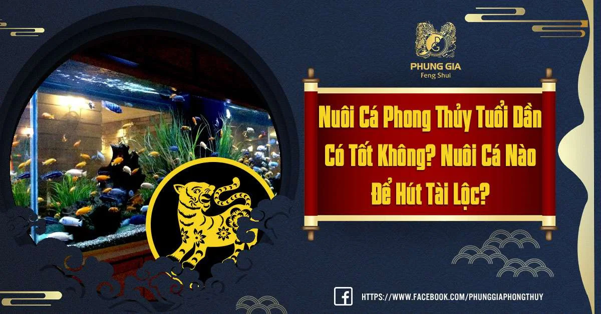 Nuôi Cá Phong Thủy Tuổi Dần Như Thế Nào Để Kích Hoạt Tài Lộc?
