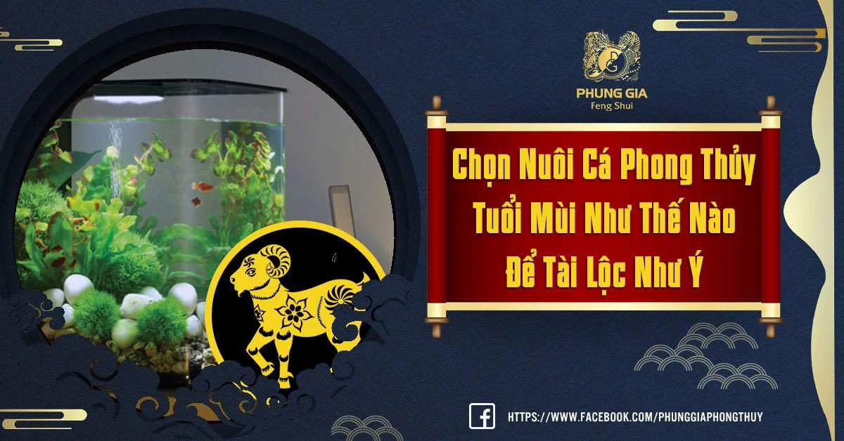 Nuôi Cá Phong Thủy Tuổi Mùi Để Kích Hoạt Tài Lộc Như Thế Nào?