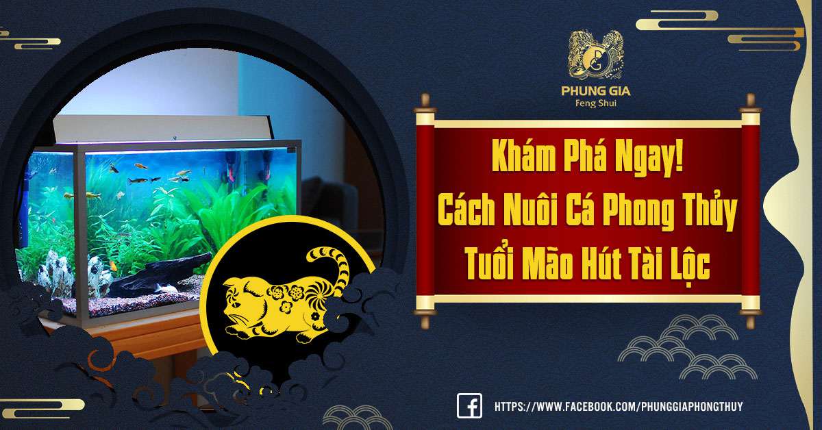 Cách Nuôi Cá Phong Thủy Tuổi Mão Hút Tài Lộc