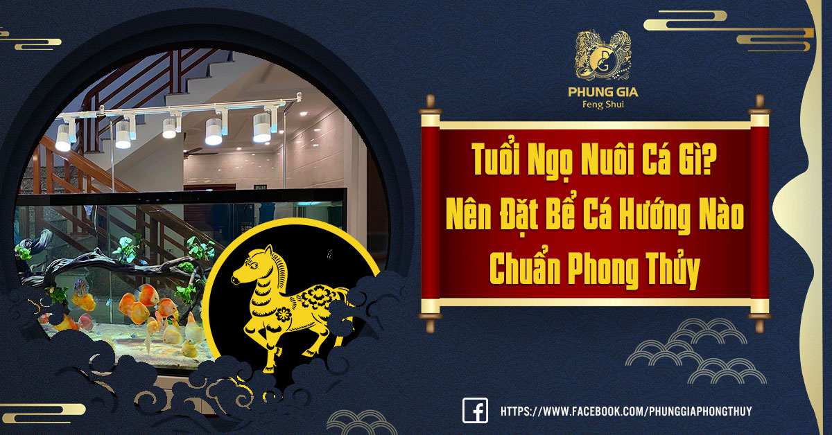 Tuổi Ngọ Nuôi Cá Gì? Nên Đặt Bể Cá Hướng Nào Hợp Phong Thủy